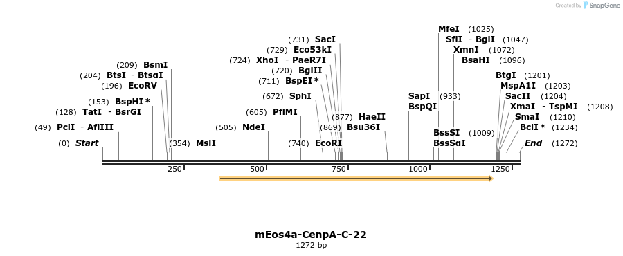 103361_map