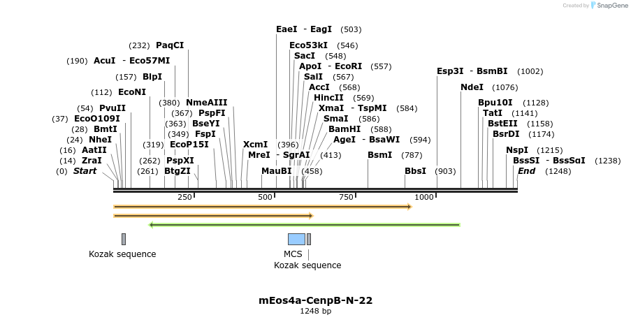 103362_map