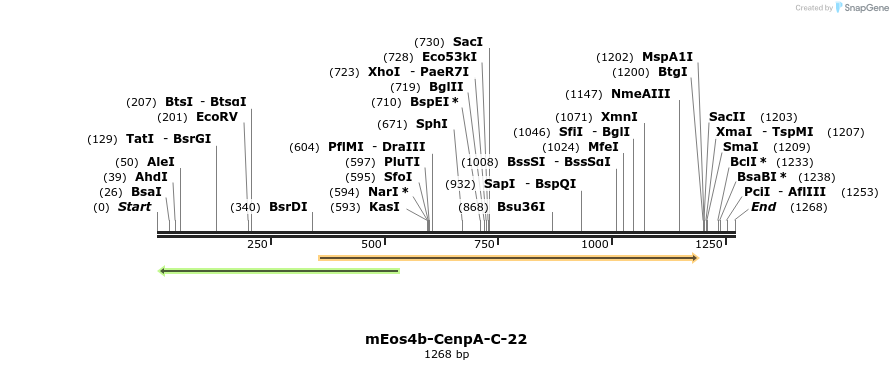 103367_map