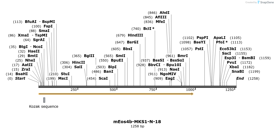 103368_map