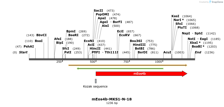 103369_map