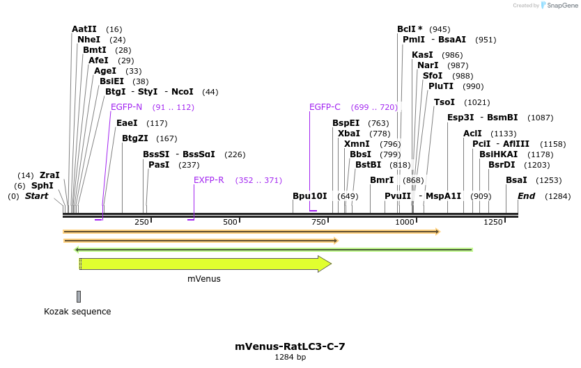 103394_map