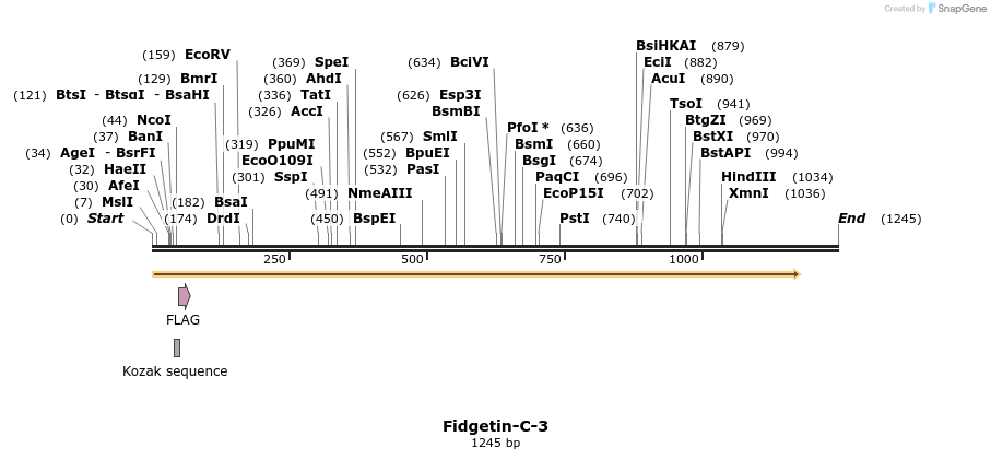 103408_map
