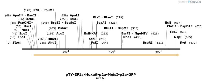 103426_map