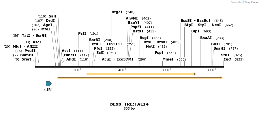 103427_map