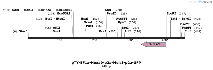 103431_map