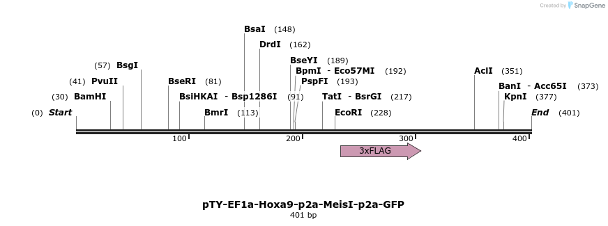 103433_map