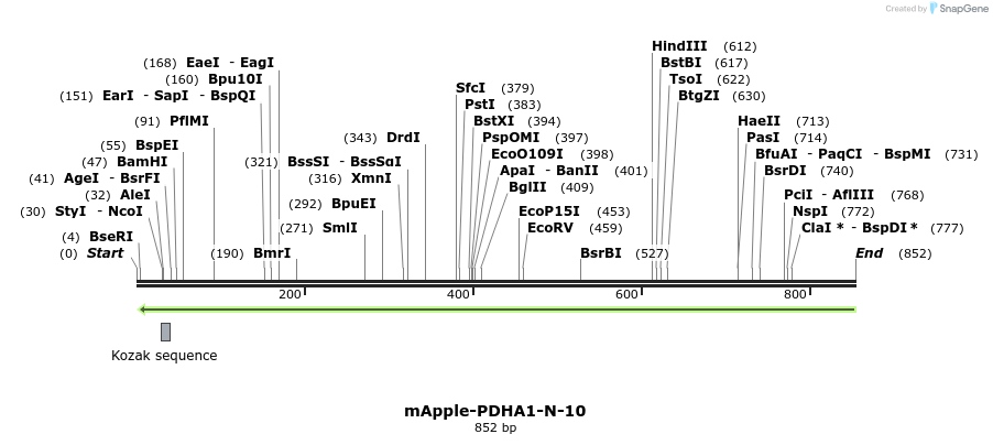 103456_map