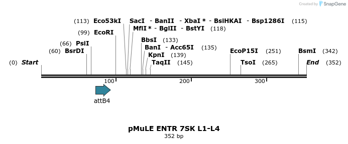 103464_map