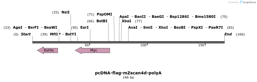 103465_map