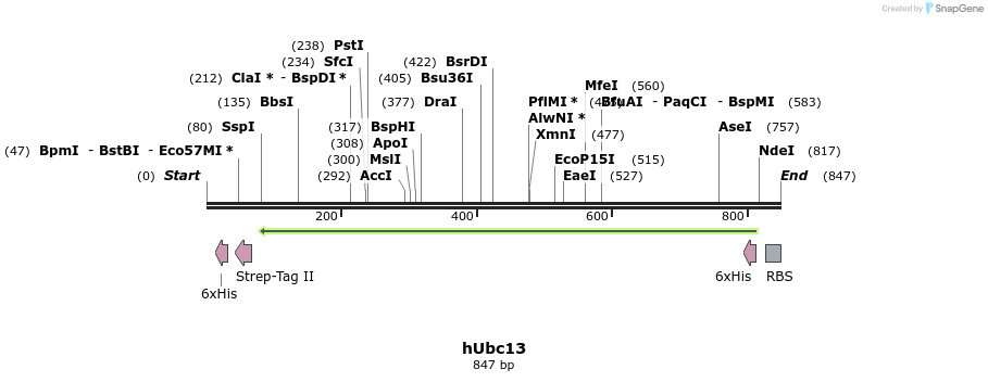 103474_map