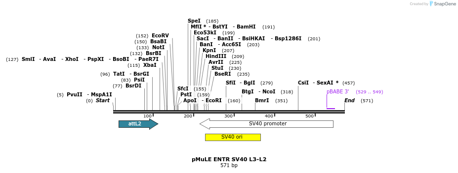 103475_map