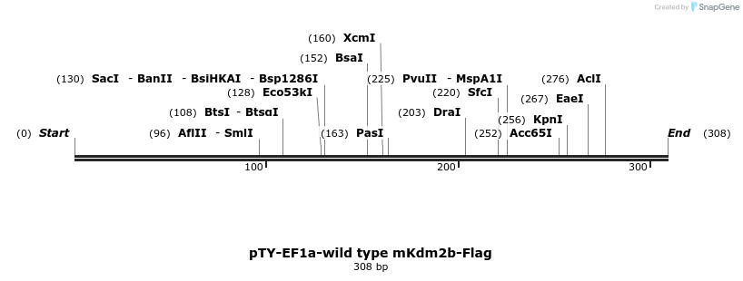 103477_map