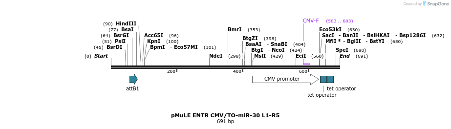 103478_map