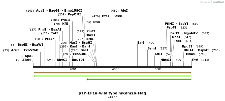 103479_map