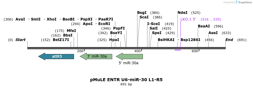 103485_map