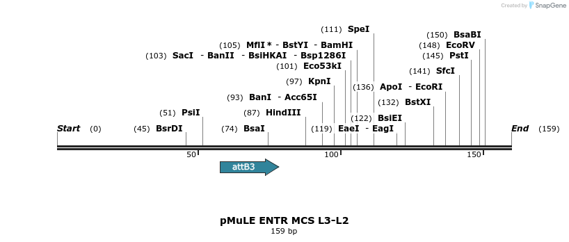 103496_map