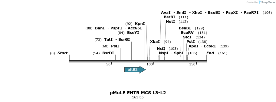 103497_map