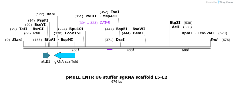 103499_map
