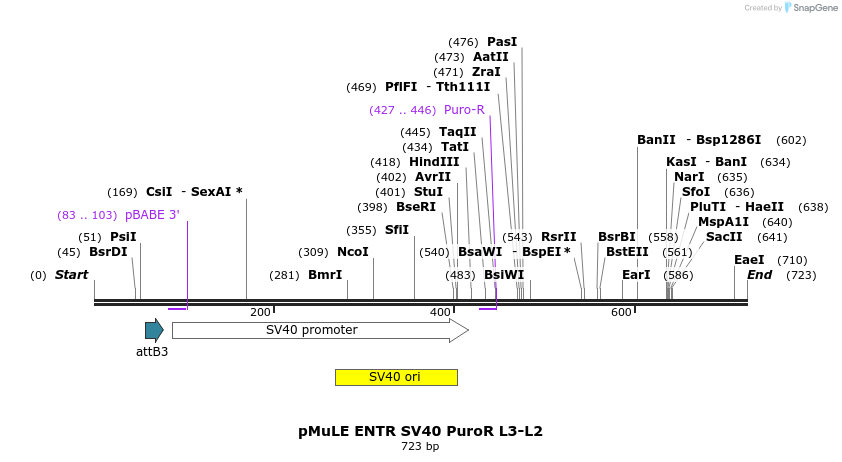 103504_map