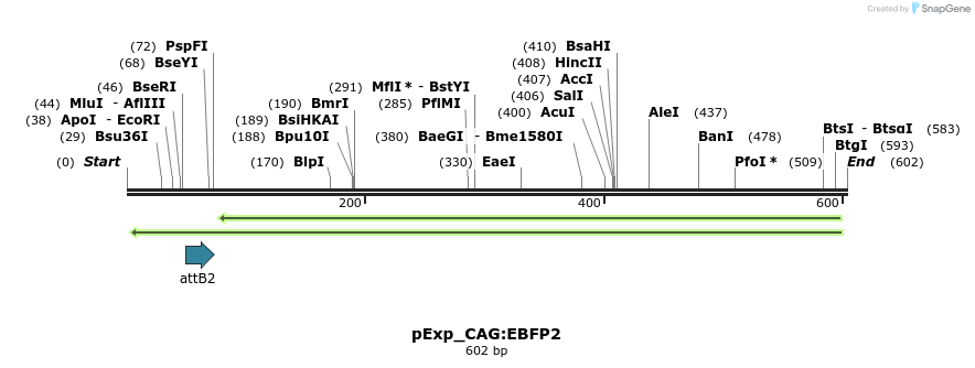 103509_map