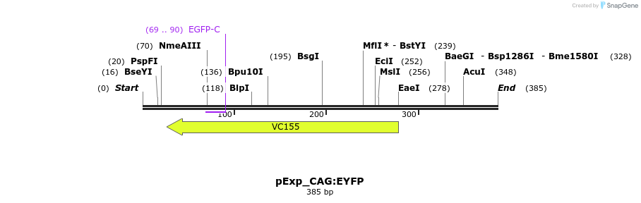 103511_map