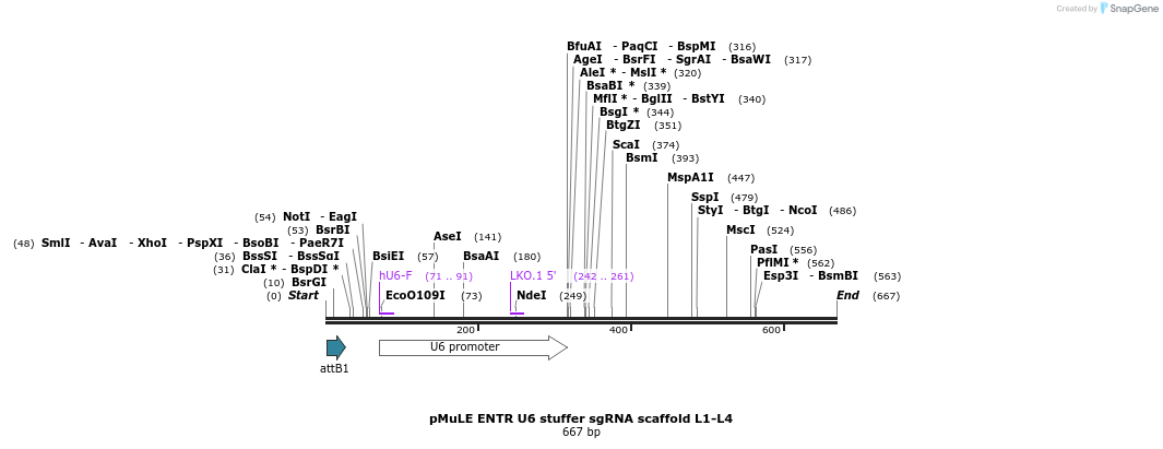 103518_map