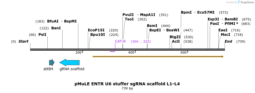 103519_map