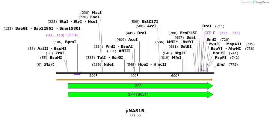 103525_map