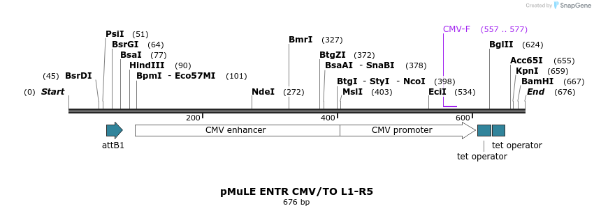 103532_map