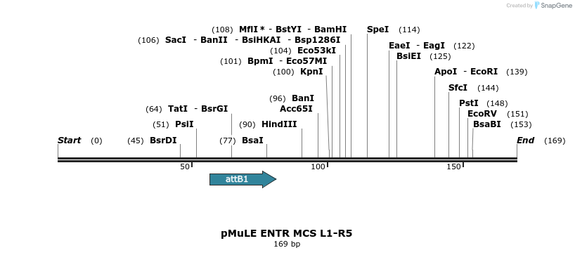103535_map