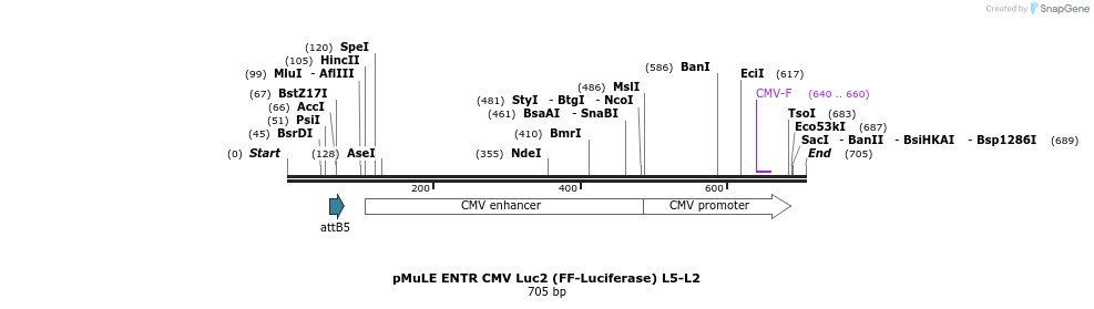 103544_map
