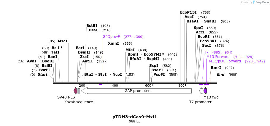 103549_map