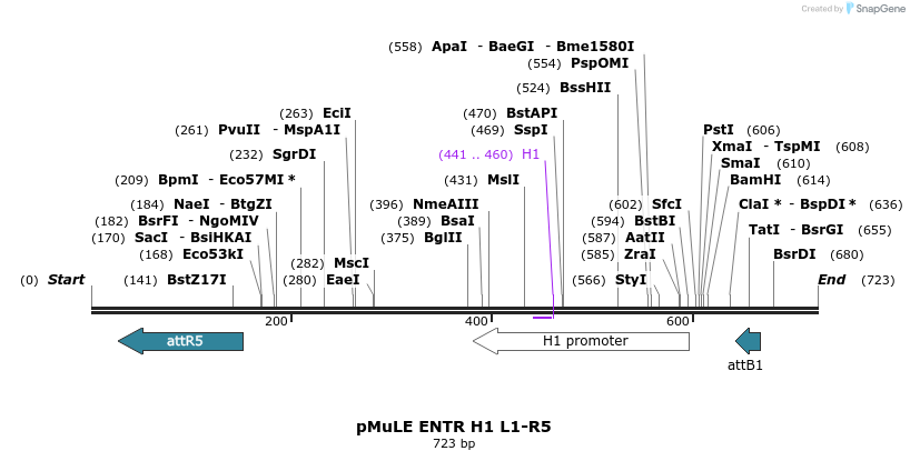 103551_map