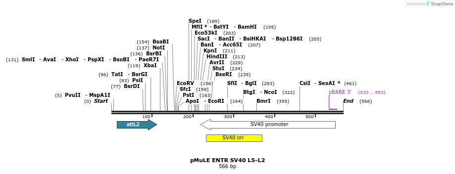103555_map