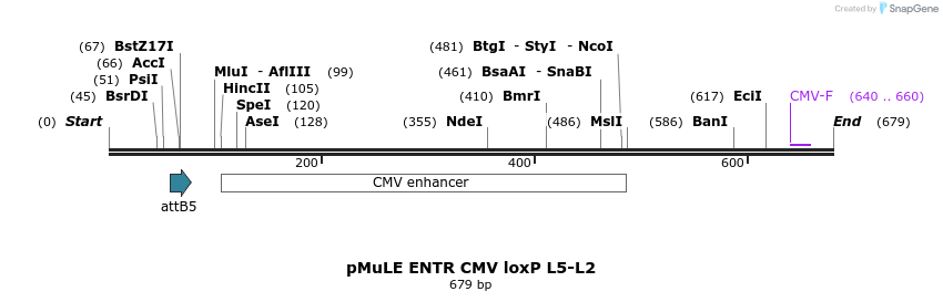103559_map