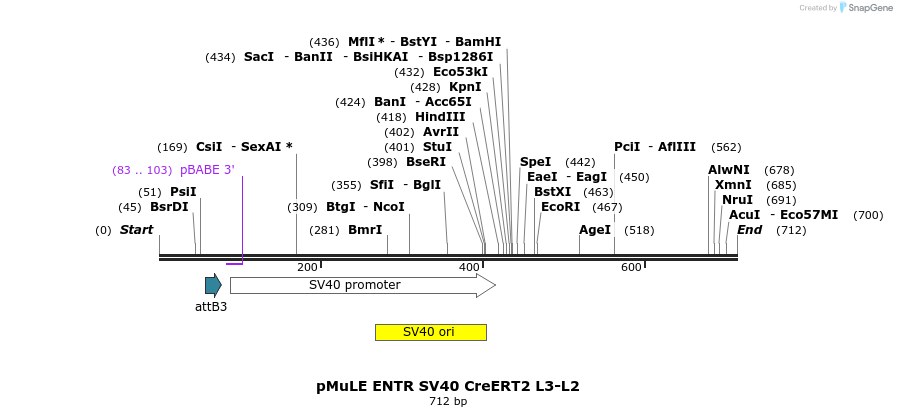 103562_map