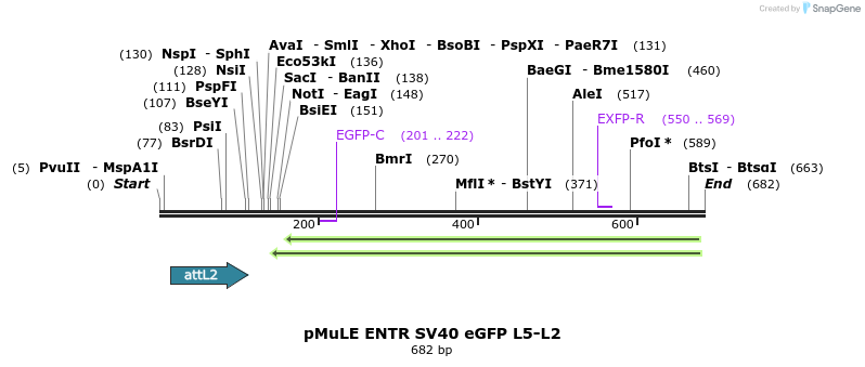103577_map