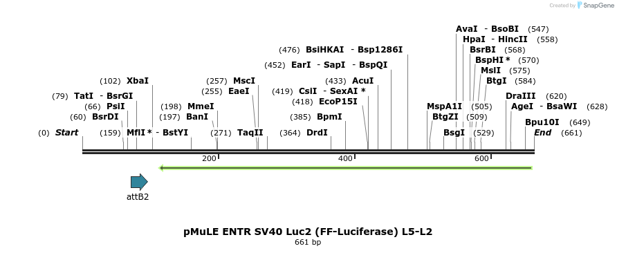 103591_map