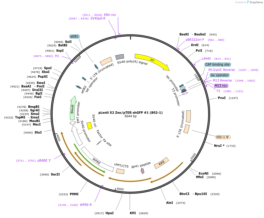 10360_map