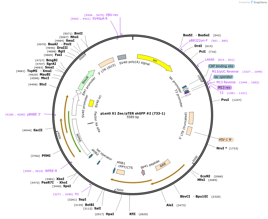 10361_map