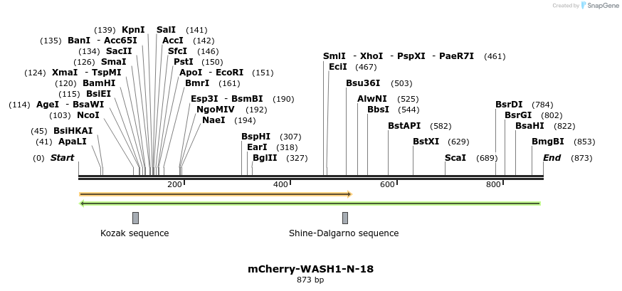 103617_map