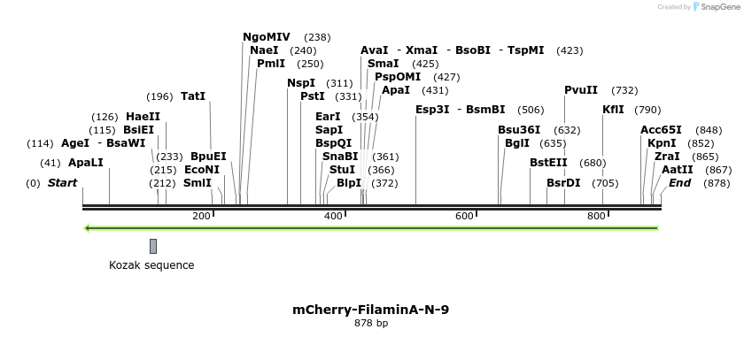 103618_map
