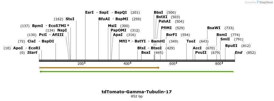 103619_map