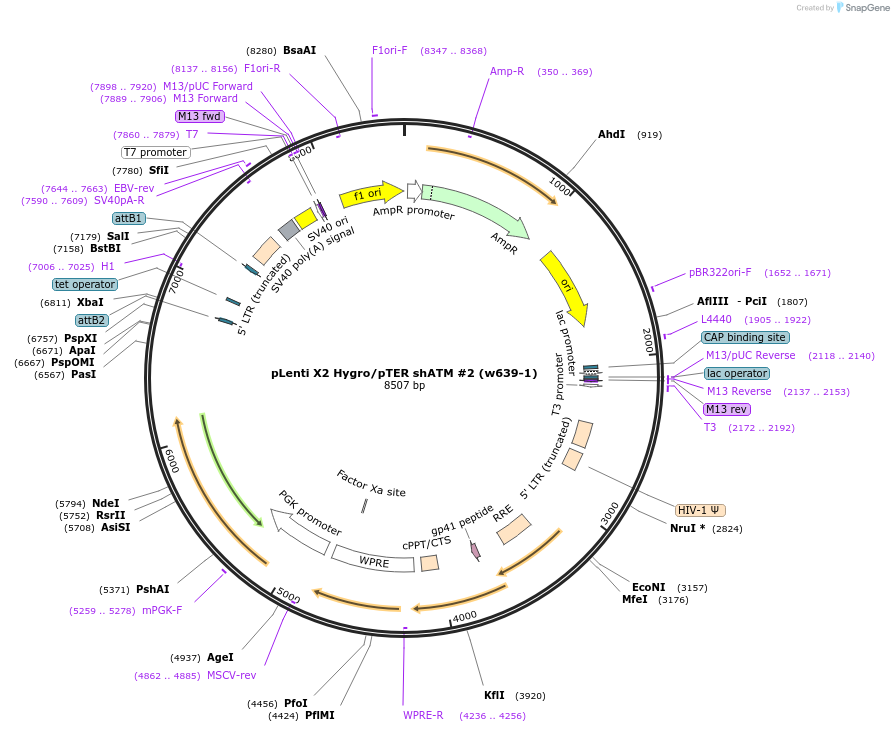 10362_map