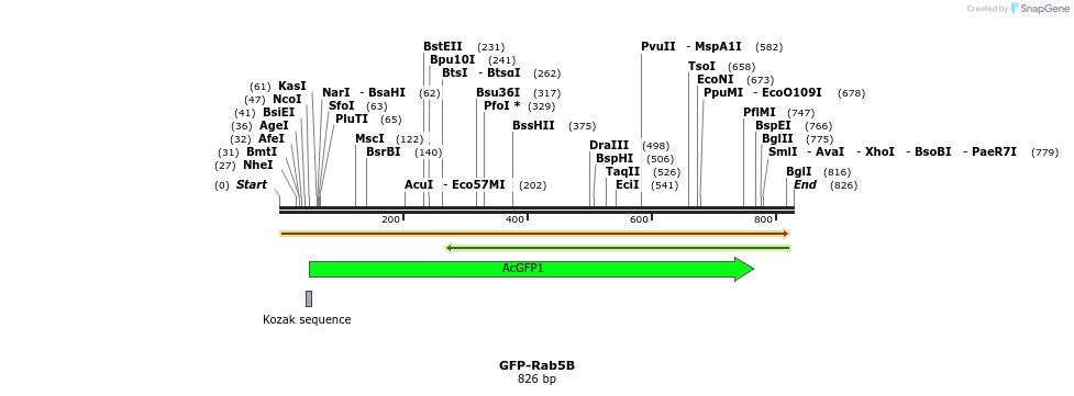 103637_map