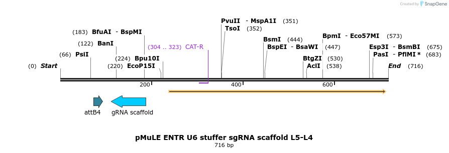 103651_map
