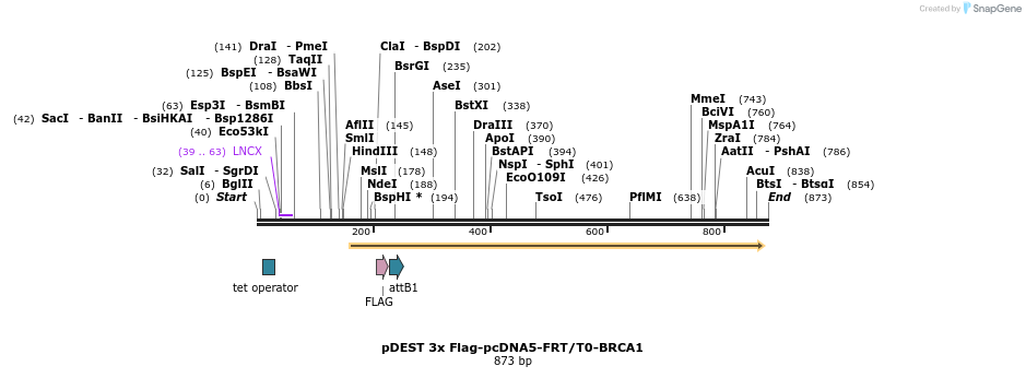 103661_map