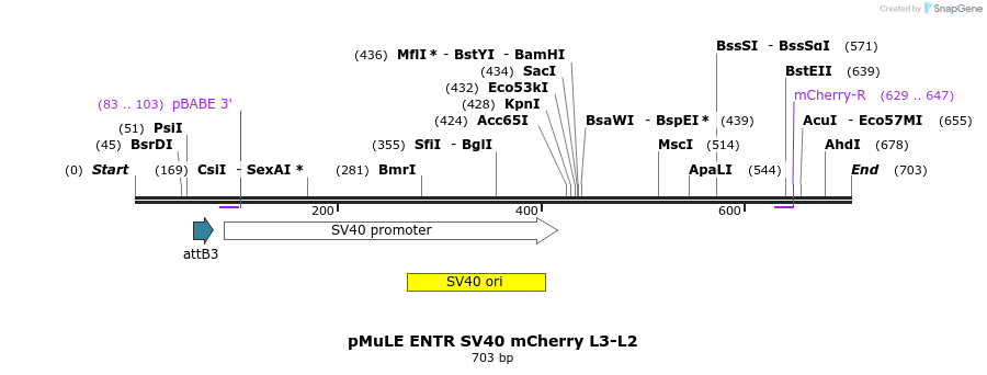 103662_map