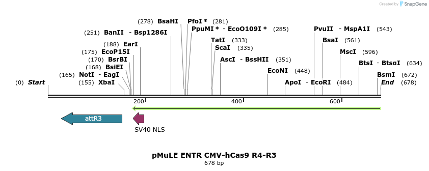 103670_map